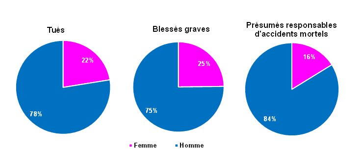 répartition homme femme
