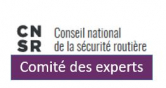 log Comité des experts