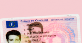Permis à points
