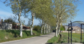 photo alignement arbres